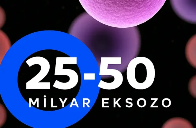 Otolog Egzozom Tedavisi